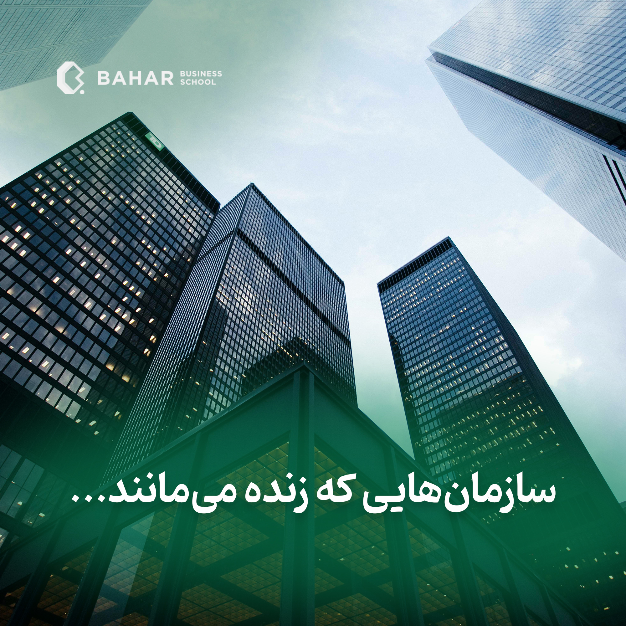 سازمان هایی که زنده می مانند.