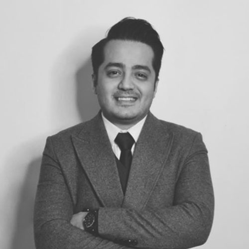 استاد حمیدرضا سلیمانی